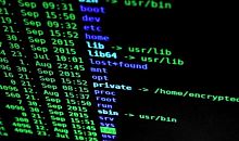Киберпреступники атакуют сайт праймериз «Единой России»