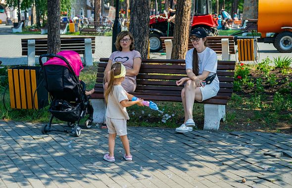 В челябинской мэрии презентовали проект реконструкции парка имени Гагарина