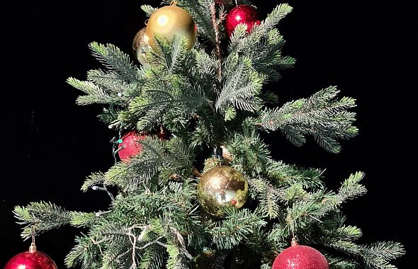 Глава Копейска в каждую семью мобилизованных принесет новогоднюю елку