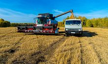 В Челябинской области началась уборка урожая