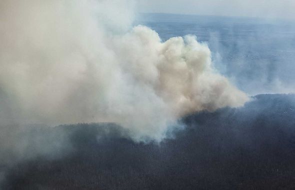 На Урале проведут более тщательную подготовку к ликвидации лесных пожаров