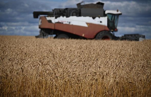 За месяц Южный Урал экспортировал в другие регионы более 5 тысяч тонн зерновых