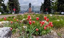 На улицах Челябинска появятся более 2,5 тысяч кашпо с цветами