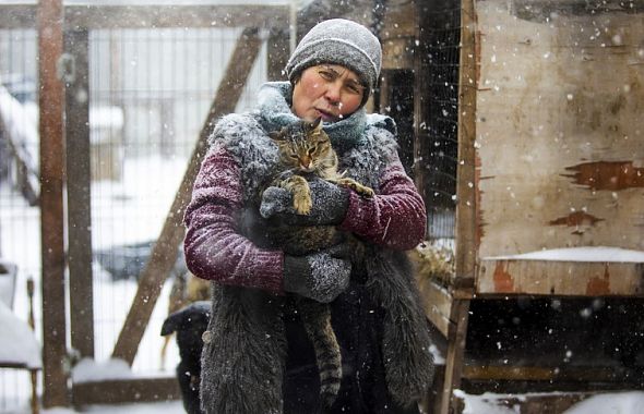 В Челябинске хозяйка породистого кота устроила травлю зоозащитников