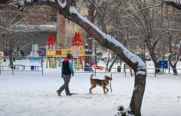 В каждом районе Челябинска появятся площадки для выгула собак