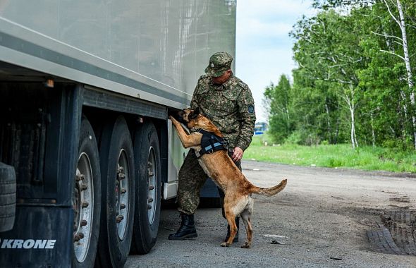 С Южного Урала пытались незаконно вывезти за границу более 100 кубов древесины 