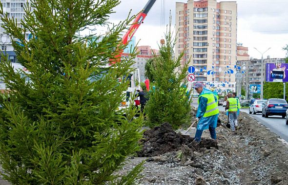 В Челябинске возобновили высадку крупномеров