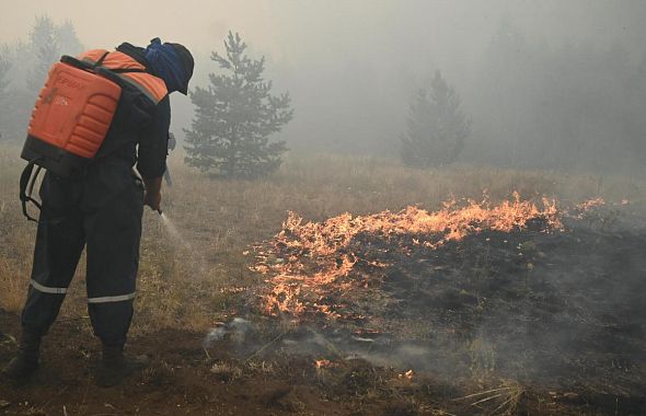 Из-за аномальной жары на Южном Урале произошли лесные пожары