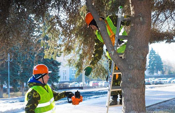 В Челябинске изменились правила вырубки деревьев