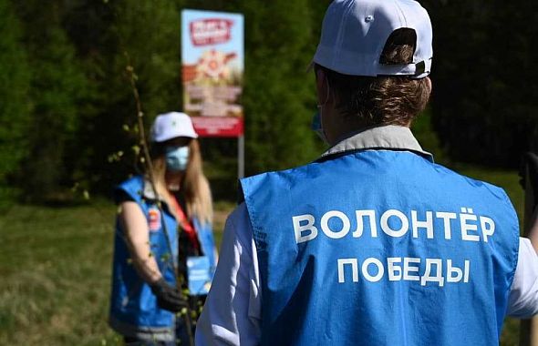 Юрий Болдырев: «Партии не станут заниматься волонтерством, если не будет профита»